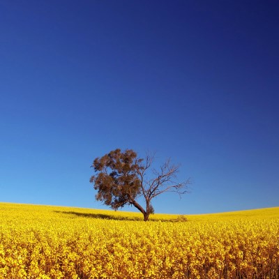 1920 x 1080 HD Wallpapers 2116